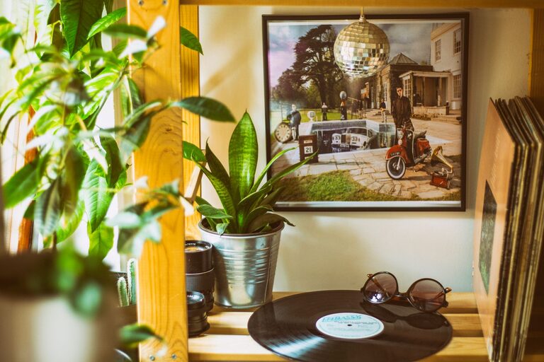 How to Refresh Your Home with Plants: A Simple Green Guide